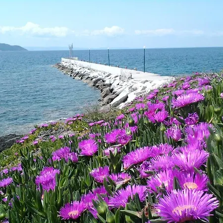 Petunia Konukevi Neos Marmaras